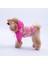Florence Daisy Pembe Papatya Desenli Daisy Köpek Mont Köpek Yağmurluk Köpek Kıyafeti Köpek Elbisesi 4