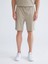 Yeni Sezon Standart Kalıp Erkek Şort 2