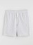 Yeni Sezon Standart Kalıp Çizgili Erkek Şort 5