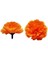 Marigold Çiçek Kafaları Toplu 200PCS Yapay Çiçek Çelenk El Sanatları Ipek Marigold Çiçekler Turuncu Için Kafalar (Yurt Dışından) 3