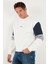 Pamuklu Relaxed Fit Bisiklet Yaka Şardonlu Renk Bloklu Sweat Erkek Sweat 5905298T 10