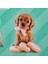 PT-4673 3D Studio Pets Sticker - Pembe 3