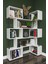 Asratrend Dk-02 Dekoratif Modern Kitaplık – Duvar/köşe Modüler Şık Tasarım, Salon & Ofis Kitaplığı 2