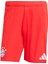 Fc Bayern 25/26 Iç Saha Şortu JJ2133 Kırmızı 6
