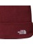 Norm Beanie Unisex Outdoor Beresi NF0A5FW10VO1 Kırmızı 2