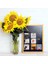 Ayçiçeği Itme Pimleri Ayçiçeği Çakalar Çiçek Cork Tahtası Tacks Fotoğraflar Için Ayçiçeği Başparmak Tacks Duvar Haritaları (40 Pcs) (Yurt Dışından) 4