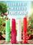 -Tatlı Aromalı ve Besleyici Lip Balm Renkli Dudak Balmı (005 Karpuz) 8690604555406 5