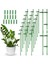 30 Pcs Ayarlanabilir Bitki Destek Peşeri Bahçe Tek Kök Destek Payları Bitki Klipsleri ve Boru 11.8inç Bağlayın (Yurt Dışından) 2