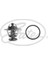 TH31682G1 Termostat 11537791072 9091603088 9091603101 1