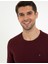 Erkek Bordo Slim Fit Bisiklet Yaka Basic Triko Kazak 50248582-VR014 2