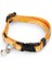 Techmrt Beeztees Yavru Kedi Tasması 23 cm Turuncu 1