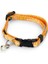 Techmrt Beeztees Yavru Kedi Tasması 23 cm Turuncu 2