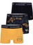 Erkek Sarı Iç Giyim Alt 50318627-VR044 1