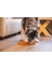 Techmrt Beeztees Yavru Köpek Mama Yeme Oyuncağı, Daire Şeklinde, Silikon, Turuncu, 30CM 3
