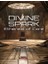 Dıvıne Spark 1