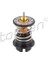 117252001 Termostat 03H121113 03H121113D 1