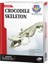 Timsah Iskeleti Bilim Seti Kız Erkek Çocuk Oyuncak Eğitici Oyuncaklar 2