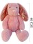 1552P Nordik Peluş Tavşan 40CM Pembe Kız Erkek Çocuk Oyuncak Eğitici Oyuncaklar 1