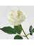 Smycka Yapay Çiçek Beyaz 40 cm 3