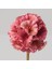 Smycka Yapay Çiçek Pembe 30 cm Scabiosa Stellata 4