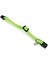 Techmrt Beeztees Yavru Kedi Tasması 23 cm Yeşil 4