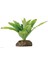 Techmrt Exo Terra Teraryum Için Plastik Bitki 1