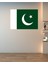 Pakistan Bayrağı Dijital Baskı Poster (Çerçevesiz) 2