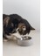 Techmrt Beeztees Dbl Kedi Mama Su Kabı, Paslanmaz Çelik, 12,5cm, 160ML 2