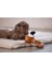 Techmrt Beeztees Köpek Oyuncağı, Peluş, Kahverengi, 16X18X8,5CM 3