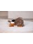 Techmrt Beeztees Köpek Oyuncağı, Peluş, Kahverengi, 16X18X8,5CM 4