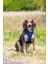 Techmrt Beeztees Köpek Göğüs Tasması, Neopren, Mavi, M, 41-46CM 4