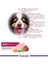 Yetişkin Köpekler Için Kuzu Etli Kuru Köpek Maması (3 Kg, Kuzu) 5