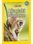 National Geographic Kids - Okul Öncesi Ağaçtaki Maymun 1