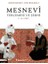 Mesnevi Tercümesi 1-2 1