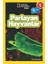 Parlayan Hayvanlar - Seviye 1 1