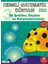 Ilk Şekiller, Ölçüler ve Karşılaştırmalar (3-6 Yaş) / Renkli Matematik Dünyası 3 1