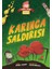 Sıra Dışı Doğa Parkı- Karınca Saldırısı 1