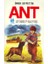 Ant 1