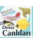 Bakalım Tanıyalım Deniz Canlıları (Ciltli) 1