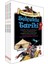 Selçuklu Tarihi Seti (4 Kitap) 1