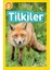 Tilkiler - Seviye 2 1