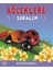 Böceklere Soralım 1