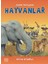 Hayvanlara Soralım 1