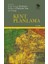 Kent Planlama 1