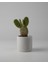 Dekoratif Beton Mini Saksı 7x7 cm - Kaktüs ve Sukulent Bitkileri Için Modern Renkli Beton Saksı - Ev ve Ofis Dekorasyonu 1
