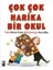 Çok Çok Harika Bir Okul 1
