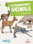 Extraordinary Animals - Intermediate - Level 3 B1 1
