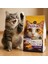 Kısırlaştırılmış Kuzu Etli Yetişkin Kedi Maması 3 kg 3