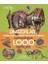 National Geographic Kids - Dinozorlar Hakkında 1000 Gerçek 1