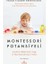 Montessori Potansiyeli 1
